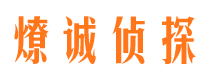 荔城市调查取证